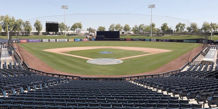 SIN GENTE EN LAS TRIBUNAS EL BEISBOL DE LA LIGA MEXICANA OPTA POR SUSPENDER SU TEMPORADA