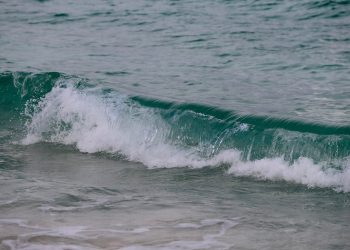 PROTEGE QUINTANA ROO PLAYAS Y ARRECIFES PARA GARANTIZAR LA REACTIVACIÓN ECONÓMICA