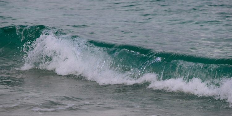 PROTEGE QUINTANA ROO PLAYAS Y ARRECIFES PARA GARANTIZAR LA REACTIVACIÓN ECONÓMICA