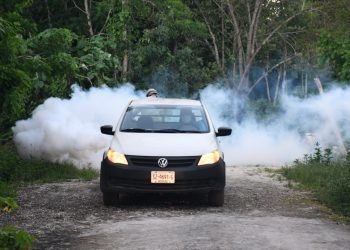 SE INTENSIFICA EL COMBATE A LOS MOSQUITOS: INICIA FUMIGACIÓN EN LA ZONA SUR.