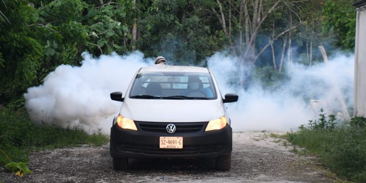 SE INTENSIFICA EL COMBATE A LOS MOSQUITOS: INICIA FUMIGACIÓN EN LA ZONA SUR.