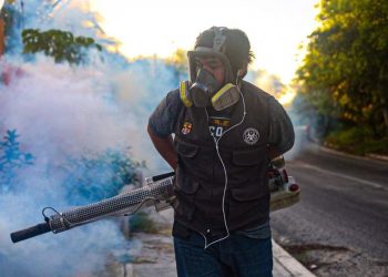 COMBATE GOBIERNO DE JUAN CARRILLO AL MOSCO TRANSMISOR DEL DENGUE
