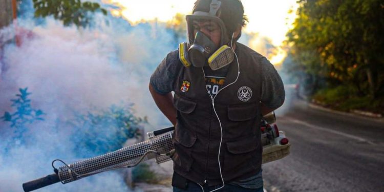 COMBATE GOBIERNO DE JUAN CARRILLO AL MOSCO TRANSMISOR DEL DENGUE