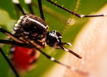 REHÚSAN ATENDER A PACIENTES DE DENGUE POR CONFUNDIRLOS CON ENFERMOS DE COVID-19