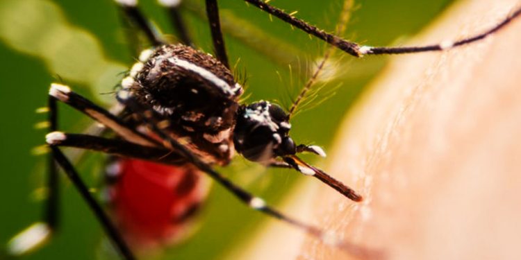 REHÚSAN ATENDER A PACIENTES DE DENGUE POR CONFUNDIRLOS CON ENFERMOS DE COVID-19