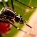 REHÚSAN ATENDER A PACIENTES DE DENGUE POR CONFUNDIRLOS CON ENFERMOS DE COVID-19