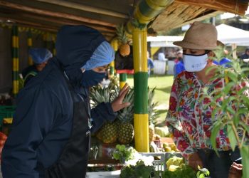 SUPERÁVIT DE BALANZA COMERCIAL AGROALIMENTARIA CRECIÓ 11.68% EN PRIMER CUATRIMESTRE