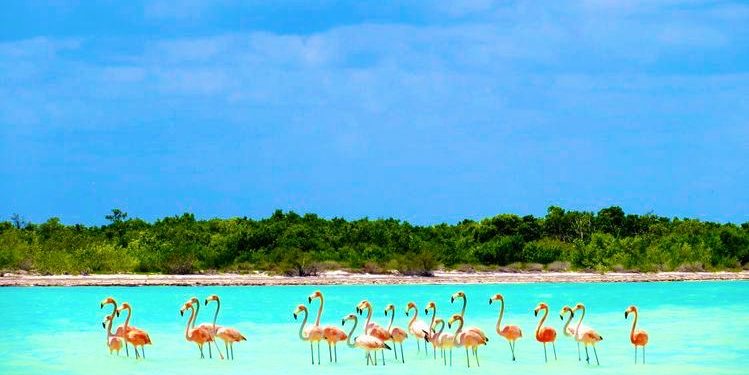 NATIONAL GEOGRAPHIC EN ESPAÑOL MUESTRA AL MUNDO LA BELLEZA DE HOLBOX