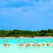 NATIONAL GEOGRAPHIC EN ESPAÑOL MUESTRA AL MUNDO LA BELLEZA DE HOLBOX