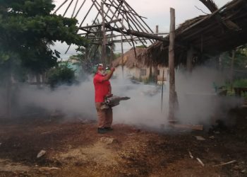 EL H. AYUNTAMIENTO DE LÁZARO CÁRDENAS CONTINÚA LA CAMPAÑA DE NEBULIZACIÓN CONTRA MOSQUITOS.