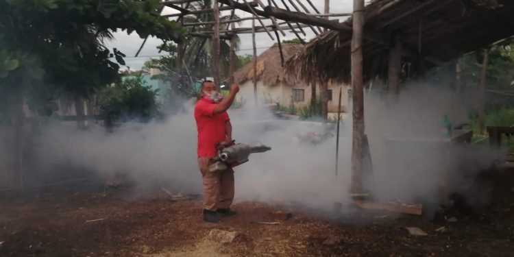EL H. AYUNTAMIENTO DE LÁZARO CÁRDENAS CONTINÚA LA CAMPAÑA DE NEBULIZACIÓN CONTRA MOSQUITOS.