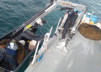 LA MARINA CONTINÚA ATENDIENDO EL FENÓMENO ATÍPICO DEL SARGAZO:  5 MIL 678 TONELADAS HAN SIDO RECOLECTADAS POR TODOS LOS PARTICIPANTES
