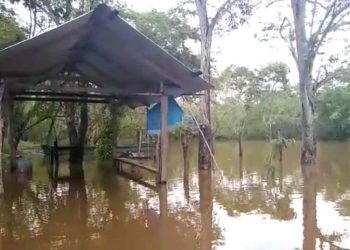 LLUVIAS GENERAN PÉRDIDAS EN CAÑEROS