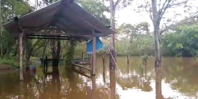 LLUVIAS GENERAN PÉRDIDAS EN CAÑEROS
