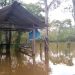 LLUVIAS GENERAN PÉRDIDAS EN CAÑEROS