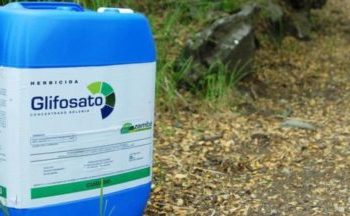 RESPALDAN A LA SEMARNAT POR INICIATIVA PARA REDUCIR USO DE GLIFOSATO