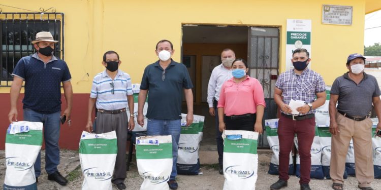 ENTREGAN SEMILLAS A PRODUCTORES DE LÁZARO CÁRDENAS