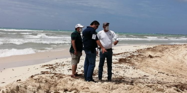 PLAYAS LIMPIAS DE SARGAZO SON PRIORIDAD: LAURA BERISTAIN