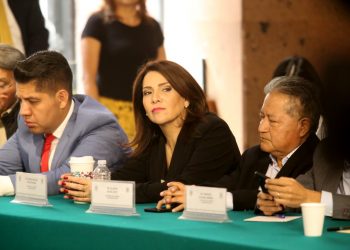 SE PRONUNCIA DIPUTADA FEDERAL DEL PES POR QUINTANA ROO POR DERECHO DE LOS PADRES PARA DECIDIR SOBRE LA EDUCACIÓN DE SUS HIJOS.
