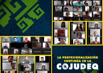 LA PROFESIONALIZACIÓN CONTINÚA EN LA COJUDEQ