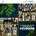 LA PROFESIONALIZACIÓN CONTINÚA EN LA COJUDEQ