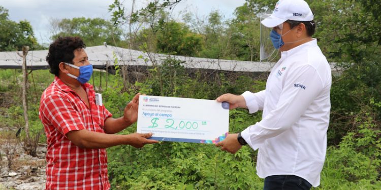 APOYOS PARA EL CAMPO YUCATECO LLEGAN A IXIL
