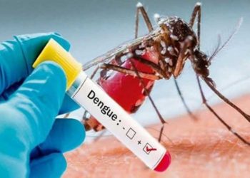 BUSCAN FRENAR EN YUCATÁN EL BROTE DEL MOSCO DEL DENGUE