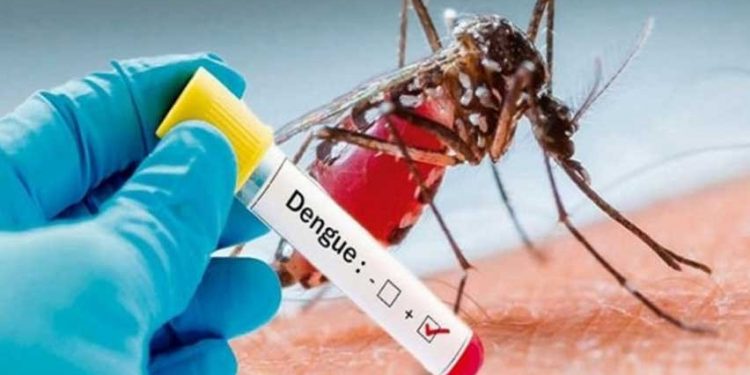 BUSCAN FRENAR EN YUCATÁN EL BROTE DEL MOSCO DEL DENGUE