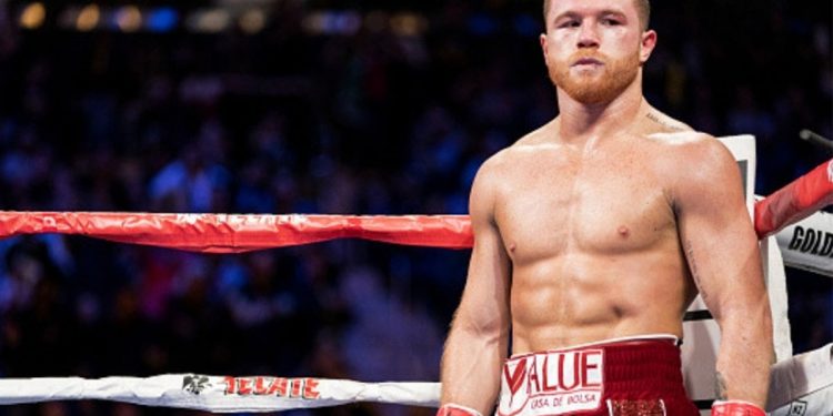 «CANELO» ÁLVAREZ REGRESARÍA EN SEPTIEMBRE ANTE DEREVYANCHENKO