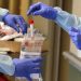 COFEPRIS VALIDA 7 PRUEBAS RÁPIDAS PARA DETECTAR COVID-19