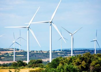 DENUNCIA COFECE POLÍTICA ENERGÉTICA ANTE LA SCJN