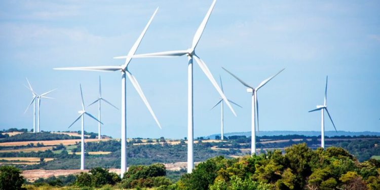 DENUNCIA COFECE POLÍTICA ENERGÉTICA ANTE LA SCJN