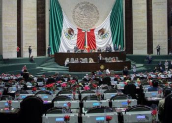 DIPUTADOS VAN POR UN INGRESO MÍNIMO UNIVERSAL EN EL PAÍS