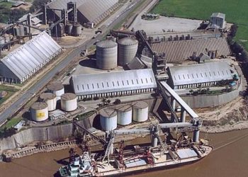 EXPROPIACIÓN DE UNA AGROEXPORTADORA EN ARGENTINA DESPIERTA LA POLÉMICA