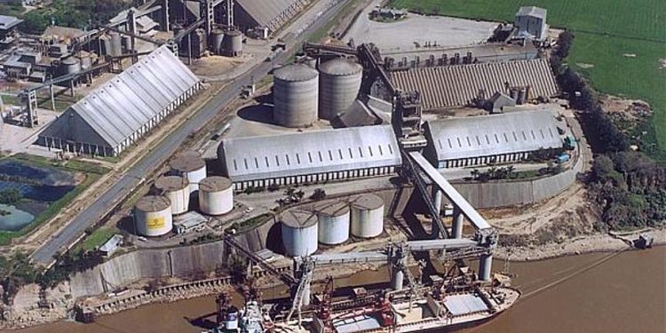 EXPROPIACIÓN DE UNA AGROEXPORTADORA EN ARGENTINA DESPIERTA LA POLÉMICA