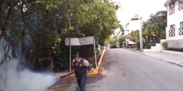 INTENSIFICAN COMBATE AL MOSCO TRANSMISOR DEL DENGUE, ZIKA Y CHIKUNGUNYA EN ISLA MUJERES