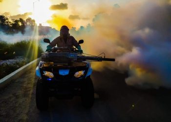 REFUERZAN FUMIGACIÓN EN COZUMEL