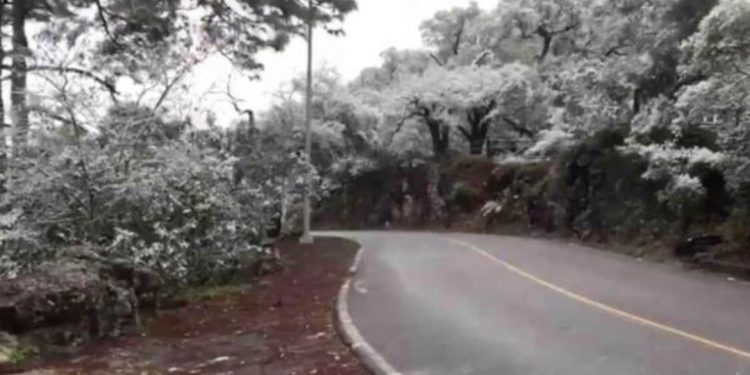 GOBIERNO DE NL ORDENA CIERRE DE PARQUE TRAS HORAS DE SU REAPERTURA