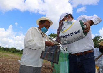 GOBIERNO DEL ESTADO RESPALDA A LAS FAMILIAS DEL CAMPO DE YUCATÁN