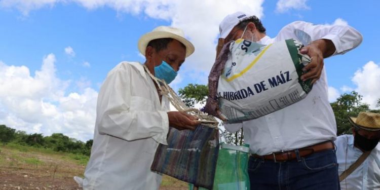 GOBIERNO DEL ESTADO RESPALDA A LAS FAMILIAS DEL CAMPO DE YUCATÁN