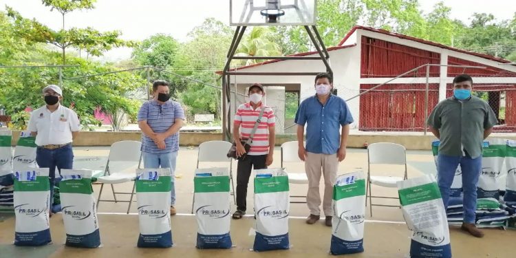 ENVÍA GOBERNADOR CARLOS JOAQUÍN SEMILLAS DE MAÍZ A MIL 500 PRODUCTORES DE JOSÉ MARÍA MORELOS