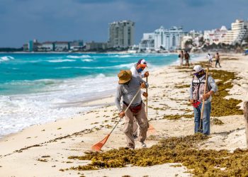 PLAN CONTRA SARGAZO PERMITE CONTAR CON PLAYAS LIMPIAS EN CANCÚN: MARA