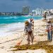 PLAN CONTRA SARGAZO PERMITE CONTAR CON PLAYAS LIMPIAS EN CANCÚN: MARA