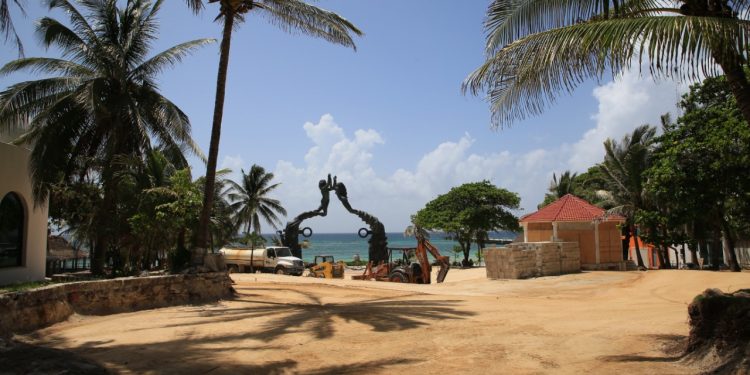 PREPARAN REFORESTACIÓN EN LA QUINTA AVENIDA Y PARQUE FUNDADORES