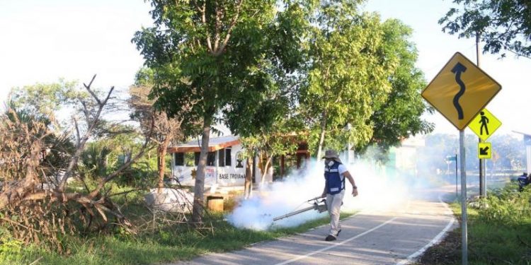 INICIAN LABORES DE FUMIGACIÓN  COMO PARTE DEL PLAN EMERGENTE DE FUMIGACIÓN POR LA TORMENTA CRISTÓBAL