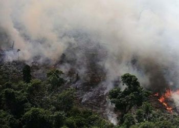 PREVÉN UNA NUEVA OLA DE INCENDIOS EN LA AMAZONÍA