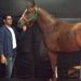 ROBAN Y SE COMEN A FAMOSO CABALLO DE CARRERAS EN VENEZUELA