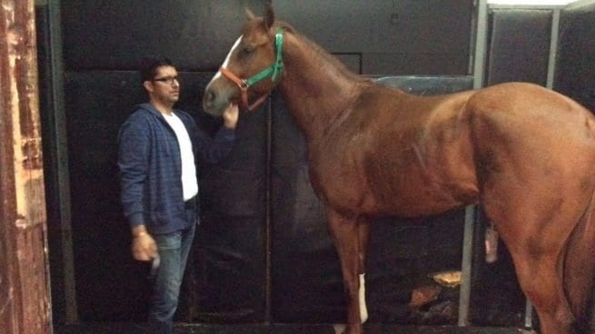 ROBAN Y SE COMEN A FAMOSO CABALLO DE CARRERAS EN VENEZUELA