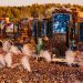«TOMORROWLAND» SE CELEBRARÁ DESDE CASA