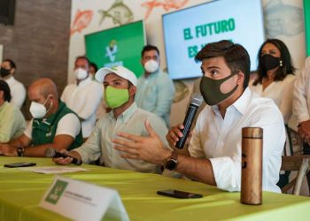 Partido Verde (PVEM) en Quintana Roo ya trabaja en proceso electoral 2021